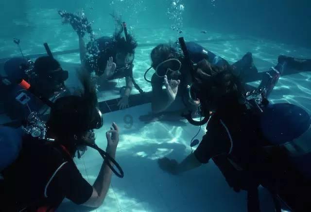 救援海盗章鱼