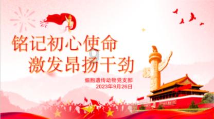 威海桃园：开展治安清查行动 维护辖区治安稳定